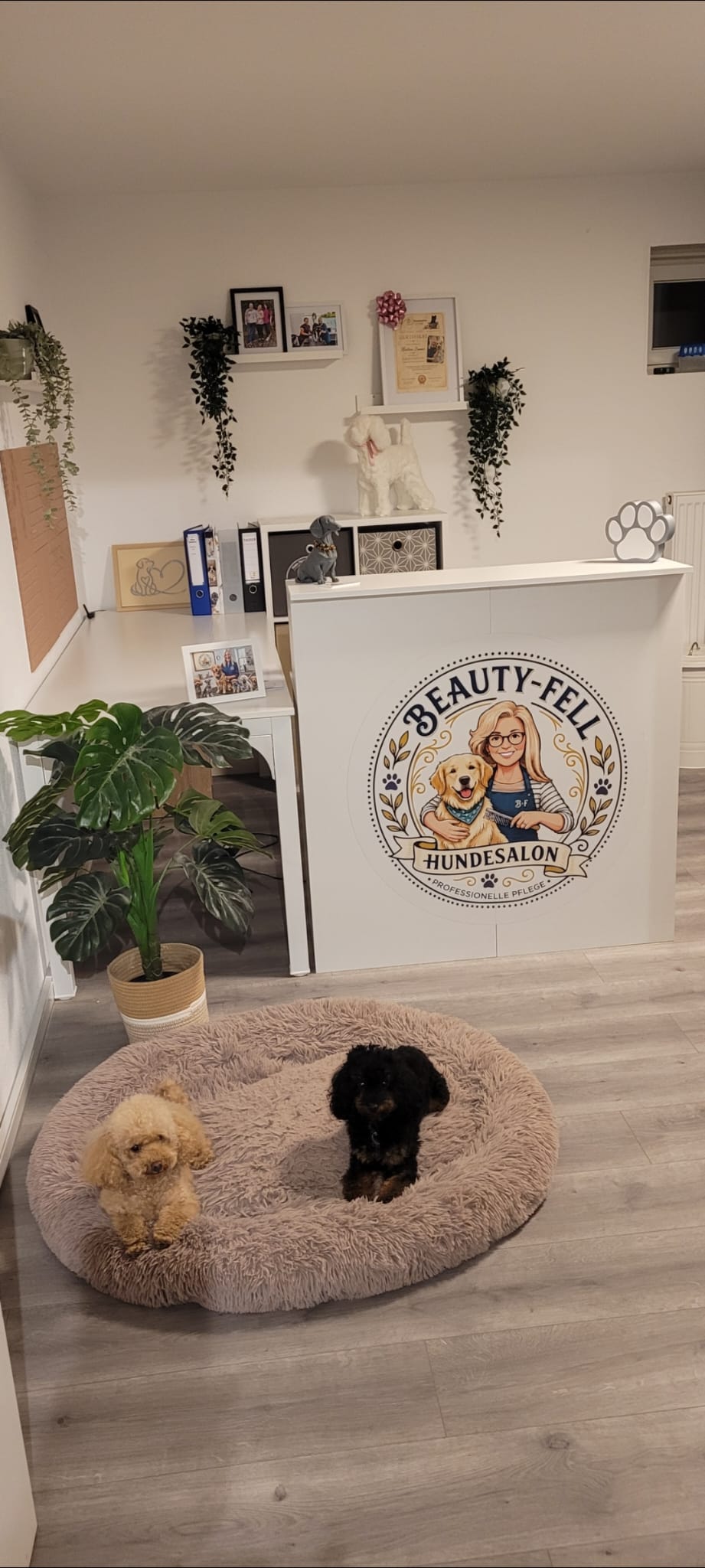 Empfangsbereich Beauty-Fell Hundesalon